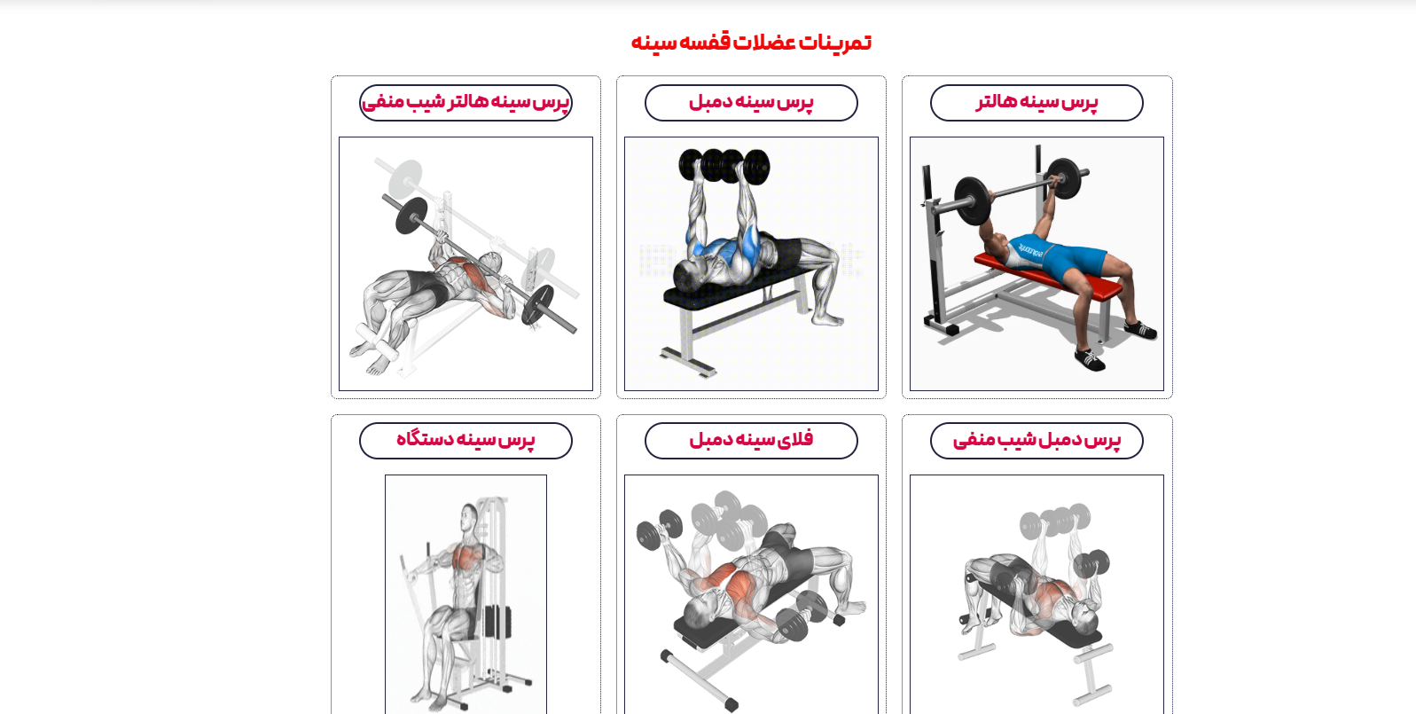 بازرگانی سهیل بسامی - 3